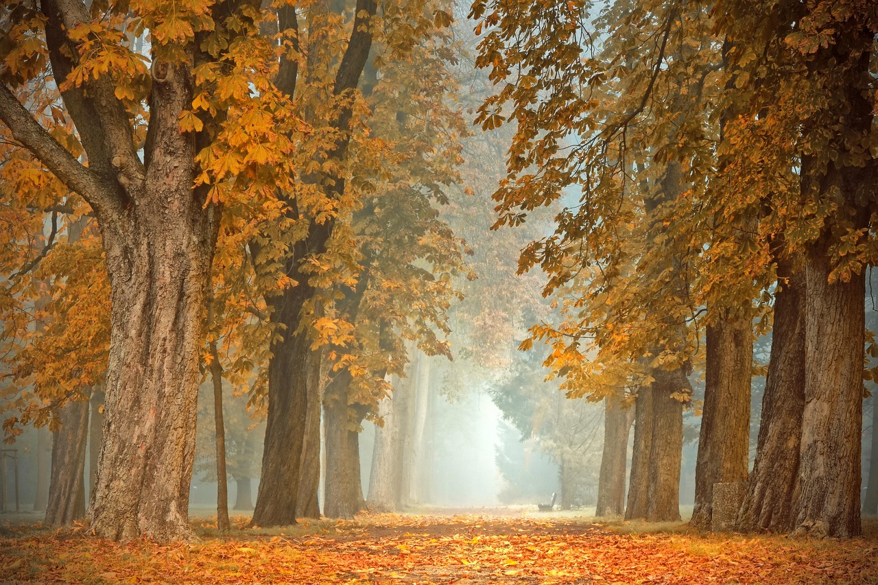 Herfsttafel met mix van stijlen.
